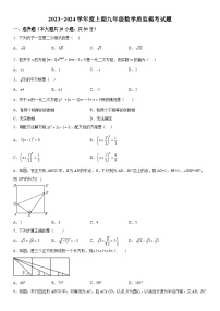 河南省驻马店市新蔡县2023-2024学年九年级上册期中数学试题（含解析）