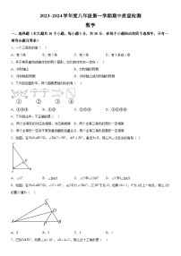 河南省安阳市安阳县2023-2024学年八年级上册期中数学试题（含解析）