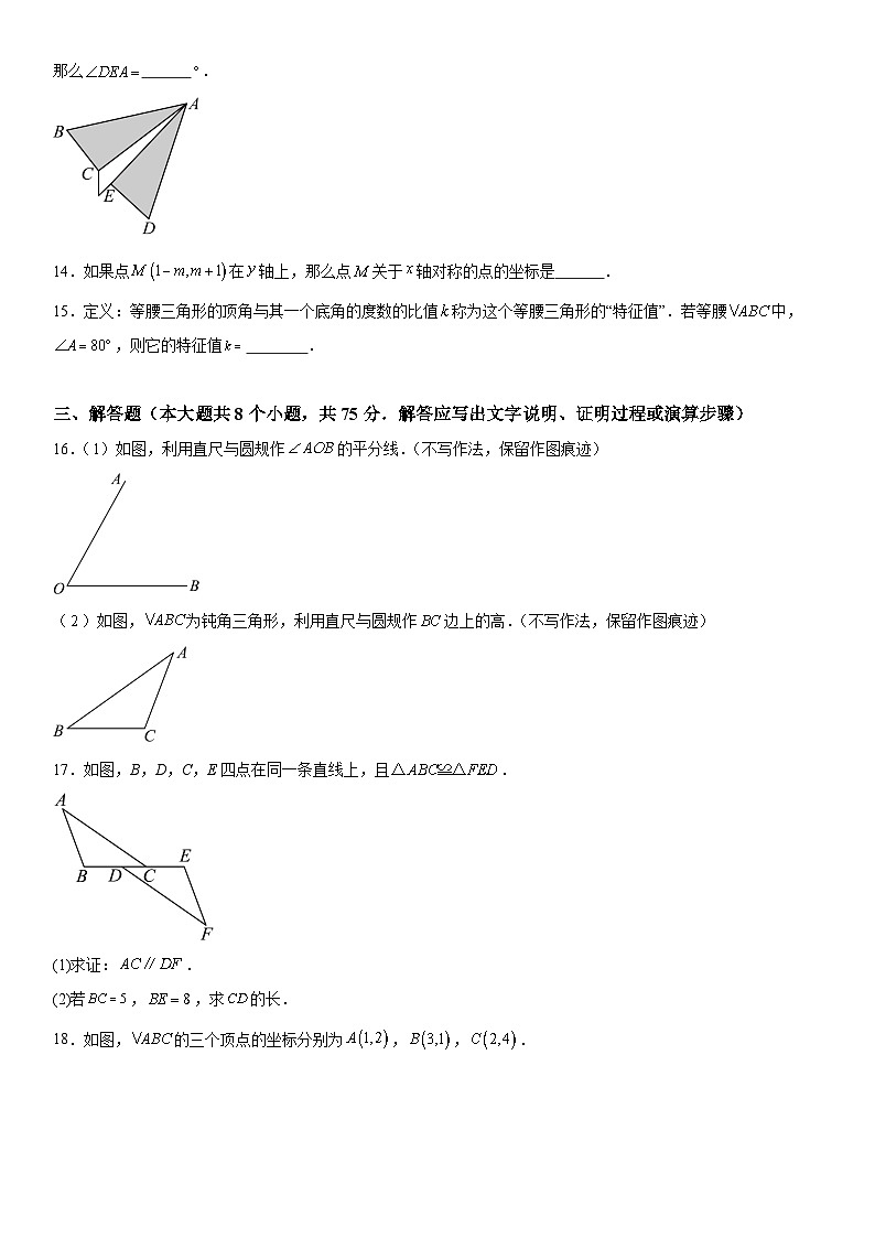 河南省安阳市安阳县2023-2024学年八年级上册期中数学试题（含解析）第3页