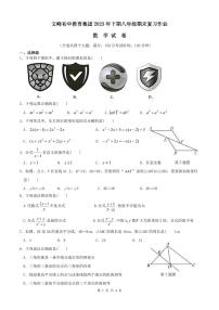 重庆市开州区文峰教育集团2023-2024学年八年级上学期12月月考数学试题