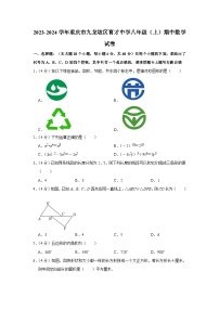 重庆市九龙坡区育才中学校2023-2024学年八年级上学期期中数学试题