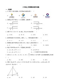 浙江省金华2023年八年级上学期期末数学试题附答案