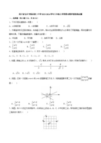 四川省达州市渠县第二中学2023-2024学年八年级上学期期末模拟数学试题