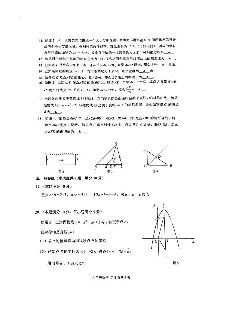 2021年上海市奉贤区九年级一模数学试卷02