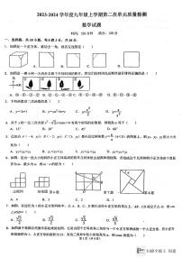 山东省枣庄市滕州市滕州育才中学2023-2024学年九年级上学期12月月考数学试题