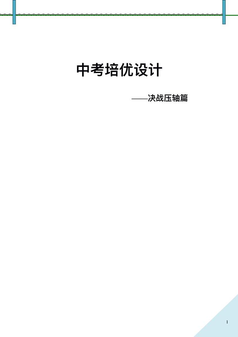 2024年中考数学压轴题培优方案第1页