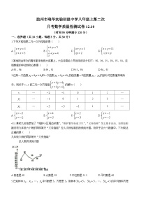 山东省青岛市胶州市瑞华实验初级中学2023-2024学年八年级上学期12月月考数学试题(无答案)