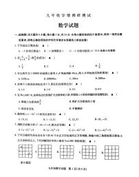 江苏省徐州市沛县2023—-2024学年九年级上学期12月月考数学试题