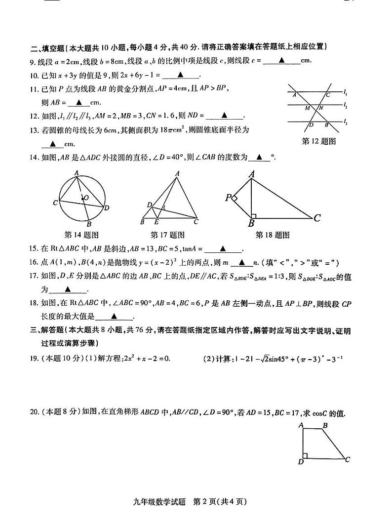 江苏省徐州市沛县2023—-2024学年九年级上学期12月月考数学试题02