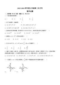 安徽省亳州市涡阳五中教育集团2023-2024学年九年级上学期第三次月考数学试题(无答案)