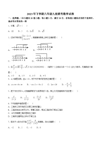 湖南省岳阳市岳阳县九校联考2023-2024学年八年级上学期第三次月考数学试题(无答案)