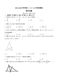 安徽省合肥市部分学校2023-2024学年九年级上学期月考数学试题