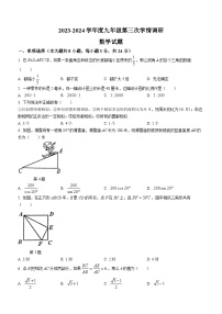 江苏省徐州市沛县第五中学2023-2024学年九年级上学期12月月考数学试题(无答案)