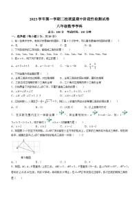 浙江省绍兴市2023-2024学年八年级上学期期中数学试题