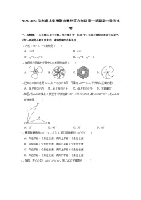 2023-2024学年湖北省襄阳市襄州区九年级（上）期中数学试卷（含解析）