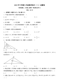 浙江省金华市东阳市横店八校联考2023-2024学年八年级上册12月月考数学试题（含解析）