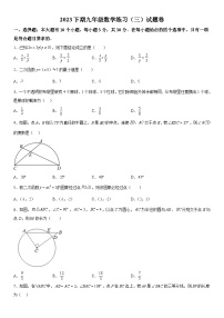 浙江省金华市东阳市横店八校联考2023-2024学年九年级上册12月月考数学试题（含解析）