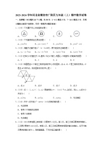 河北省廊坊市广阳区2023-2024学年九年级上学期11月期中数学试题