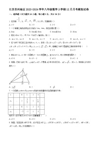 江苏苏州地区2023—2024学年八年级数学上学期12月月考模拟试卷