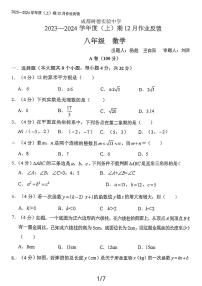 四川省成都市青羊区树德实验中学2023-2024学年八年级上学期12月月考数学试题