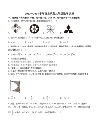 江西省宜春市高安市第二中学和高安四中2023-2024学年九年级上学期月考数学试题