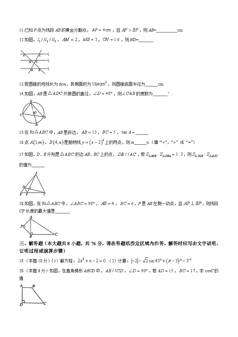 江苏省徐州市沛县2023-2024学年九年级上学期12月月考数学试题(无答案)02