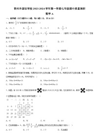 江苏省常州市新北区常州外国语学校2023-2024学年七年级上册期中数学试题（含解析）