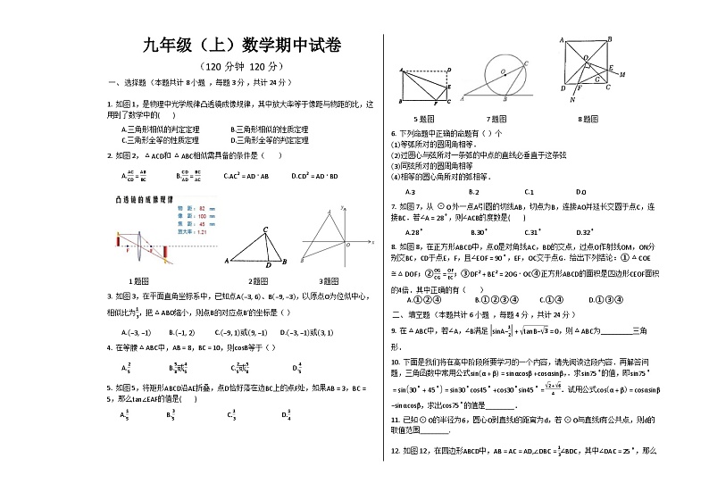 山东省菏泽市巨野县2023-2024学年九年级上学期期中考试数学试题01