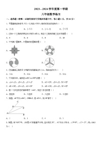 辽宁省大连市瓦房店市2023-2024学年八年级上册期中数学试题（含解析）