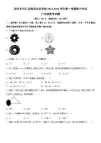 江苏省扬州市邗江区邗江区梅苑双语学校2023-2024学年八年级上册期中数学试题（含解析）