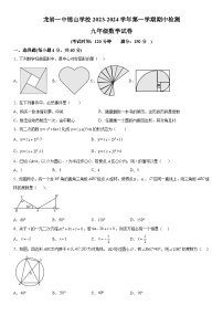 福建省龙岩市第一中学锦山学校2023-2024学年九年级上册期中数学试题（含解析）