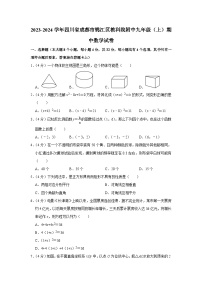 四川省成都市教育科学研究院附属学校（成都市天府实验学校）2023-2024学年九年级上学期期中数学试题