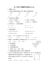 江苏省南京师范大学附属中学江宁分校2023-2024学年上学期七年级数学阶段练习