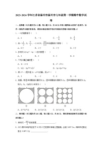 江苏省泰州市泰兴市2023-2024学年上学期七年级期中数学试卷