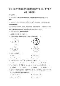 黑龙江省哈尔滨市阿城区2023-2024学年九年级（上）期中数学试卷（含解析）