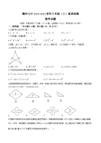 江西省赣州市第七中学2023-2024学年八年级上学期月考数学试题(无答案)