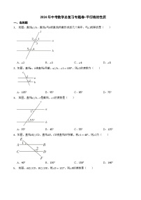 2024年中考数学总复习专题卷-平行线的性质（第四卷）