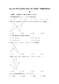 2023-2024学年山东省济宁市汶上县八年级（上）期中数学试卷(含解析)