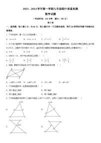 福建省宁德市福鼎市2023-2024学年九年级上册期中数学试题（含解析）