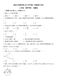 浙江省嘉兴市秀洲区浙江师范大学附属秀洲实验学校2023-2024学年九年级上册期中数学试题（含解析）