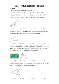 初中数学人教版八年级上册12.2 三角形全等的判定精练