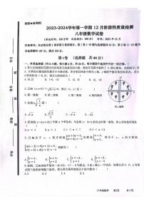 山东省枣庄市市中区2023-2024学年八年级上学期12月月考数学试题