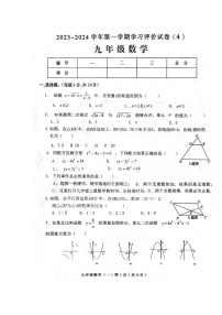 河南省周口市郸城县2023-2024学年九年级上学期12月月考数学试题