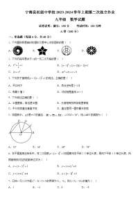 四川省凉山彝族自治州宁南县初级中学校2023-2024学年九年级上册12月月考数学试题（含解析）