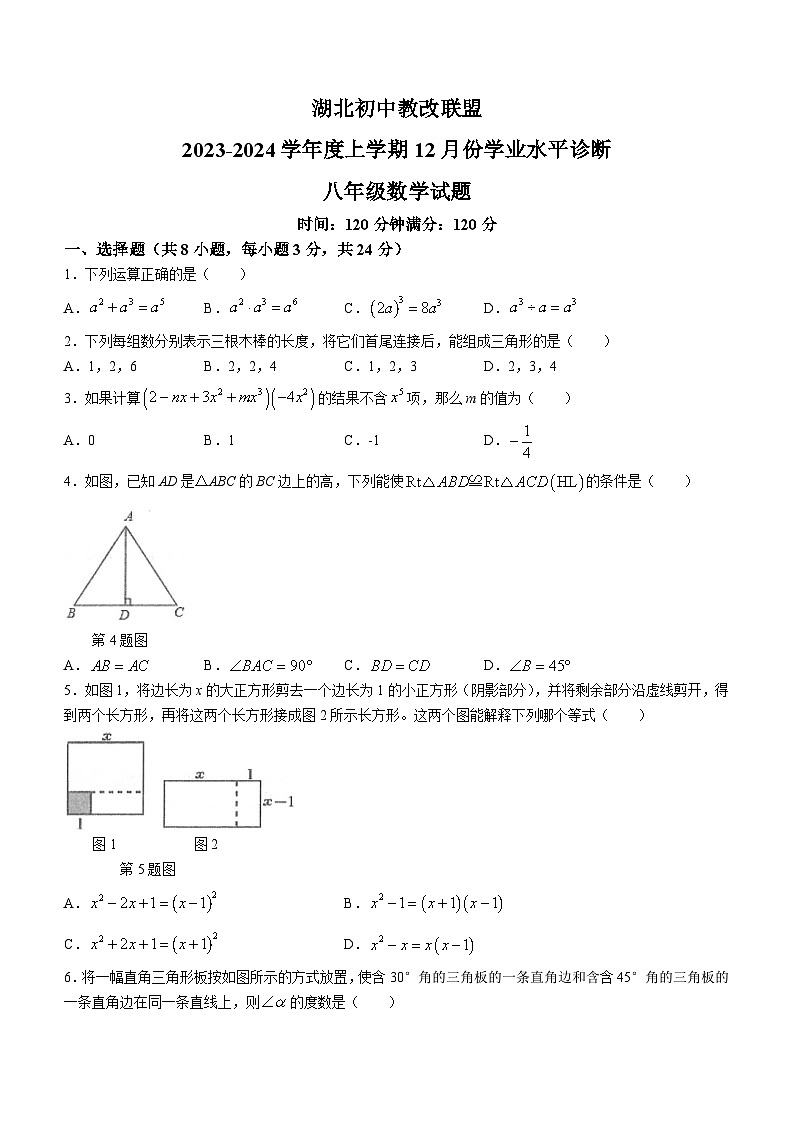 湖北省初中教改联盟2023-2024学年七年级上学期月考数学试题01