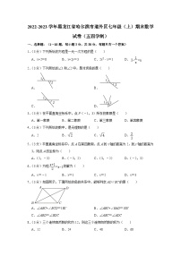 黑龙江省哈尔滨市道外区2022-2023学年七年级上学期期末数学试卷（五四学制）