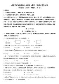 四川省 成都市天府实验学校 2023-2024学年九年级上册期中数学试题（含解析）