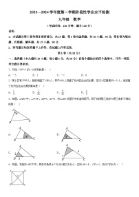 山东省青岛市黄岛区2023-2024学年九年级上册期中数学试题（含解析）