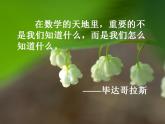 1.1《正數(shù)與負(fù)數(shù)》ppt（課件） 2021-2022學(xué)年人教版七年級(jí)數(shù)學(xué)上冊(cè)