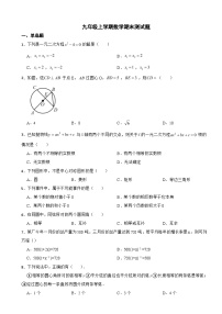 广东省广州市白云区2023年九年级上学期数学期末测试题附答案